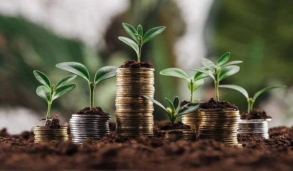 Birla Advaya Investment